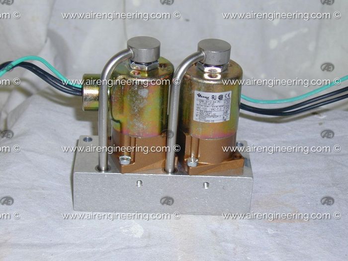 Champion 301EAQ861 Extra