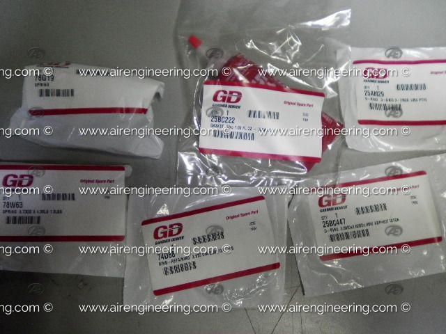 Champion 302SSM6013 Inlet Valve