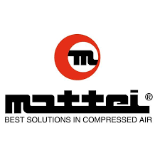 Mattei C026023303 Maintenance Kit